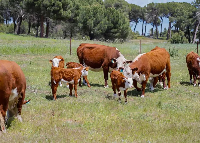 Landhuis Rural Rancho Montalvo *