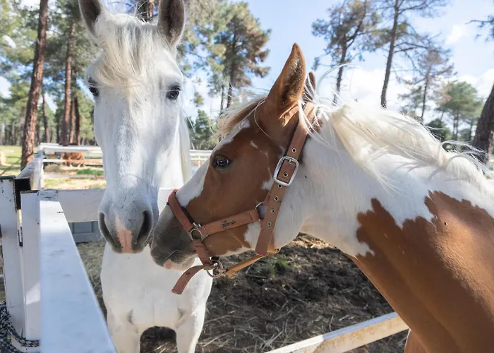 Landhuis Rural Rancho Montalvo El Oso