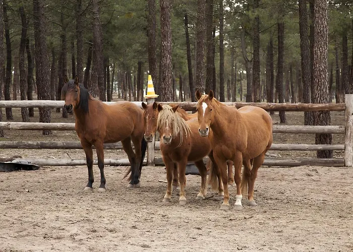 Rural Rancho Montalvo *